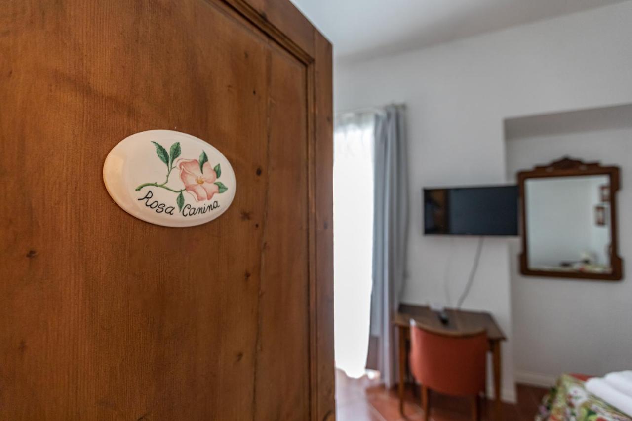La Locanda Di Adele - Il Giardinetto B&B Scarperia Luaran gambar