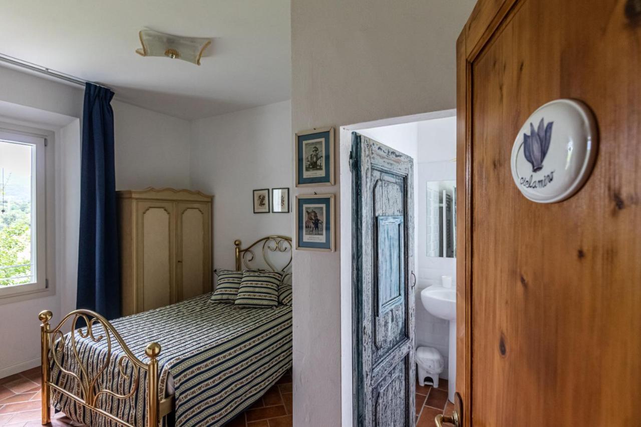La Locanda Di Adele - Il Giardinetto B&B Scarperia Luaran gambar